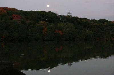 山田池の月の写真