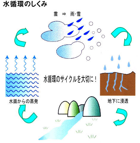 水循環のしくみを表した図