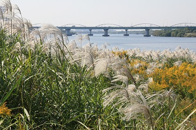 淀川の四季の写真