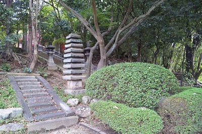 万年寺山の緑陰の写真