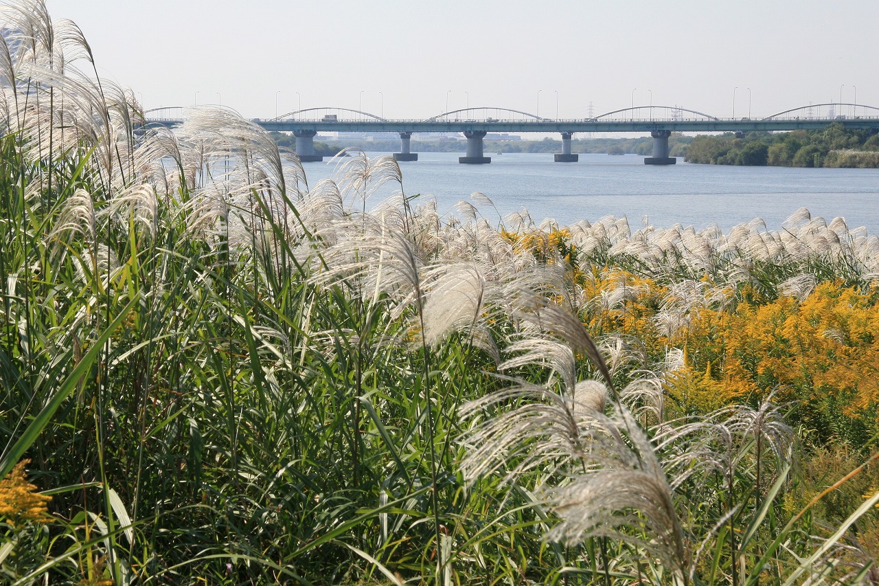 淀川の四季