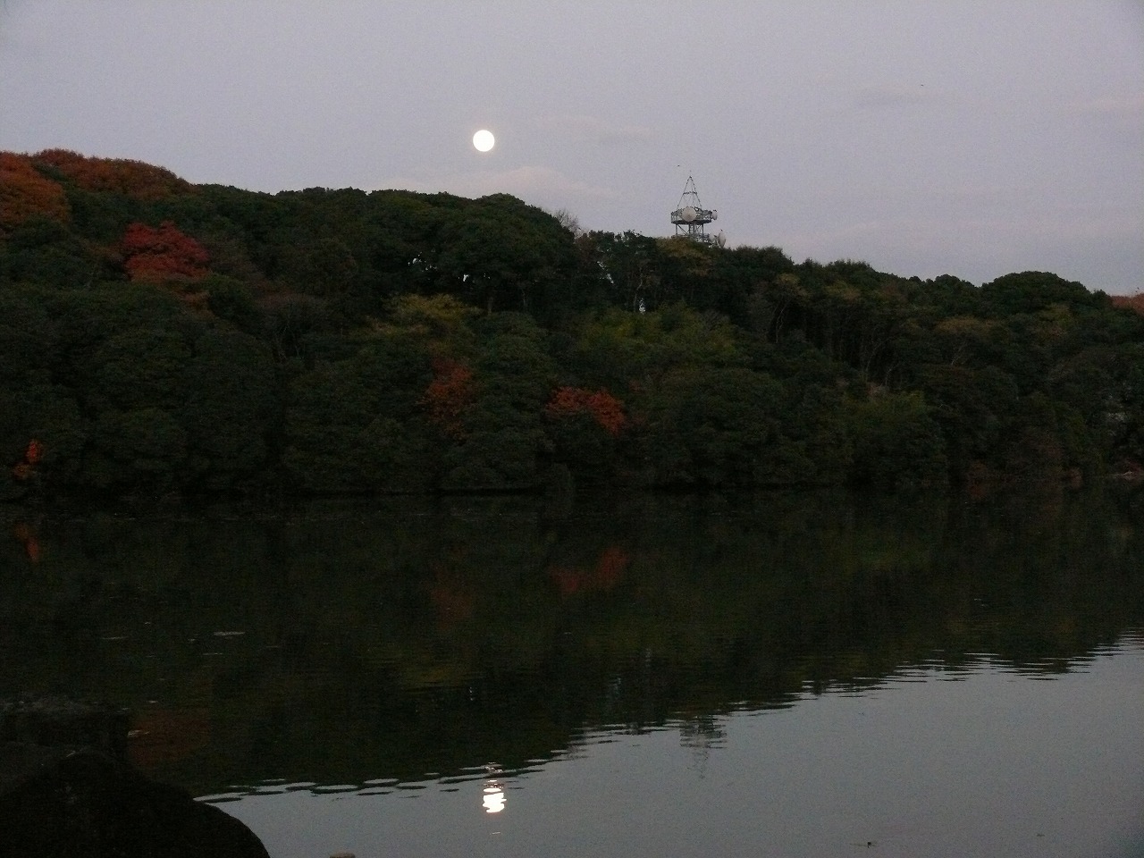 山田池の月