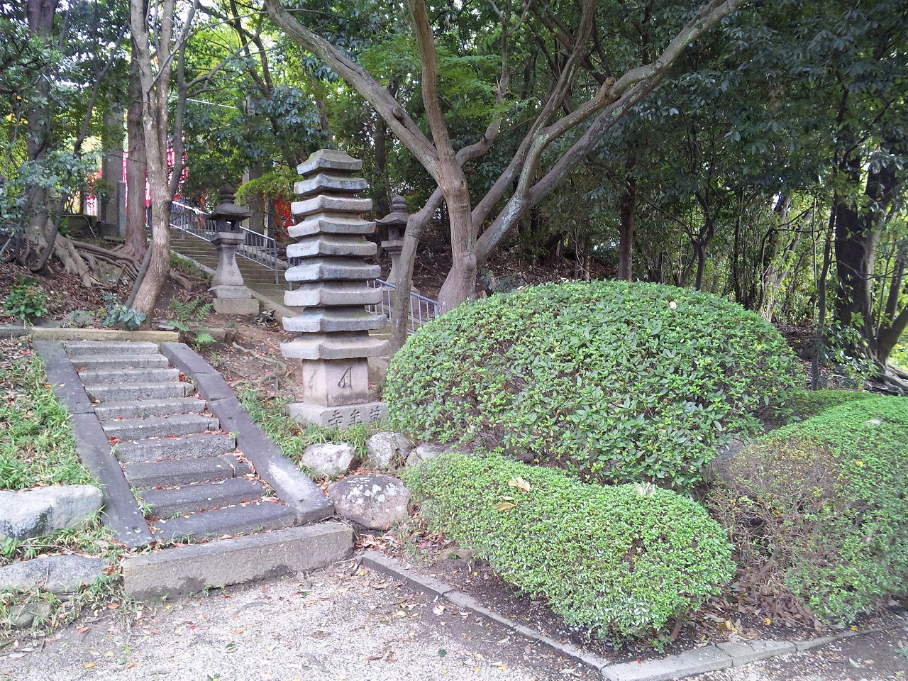 万年寺山の緑陰