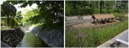 木々とこもれび水路、水面廻廊の三十石舟と紫の花、せせらぎ水路と黄色い花