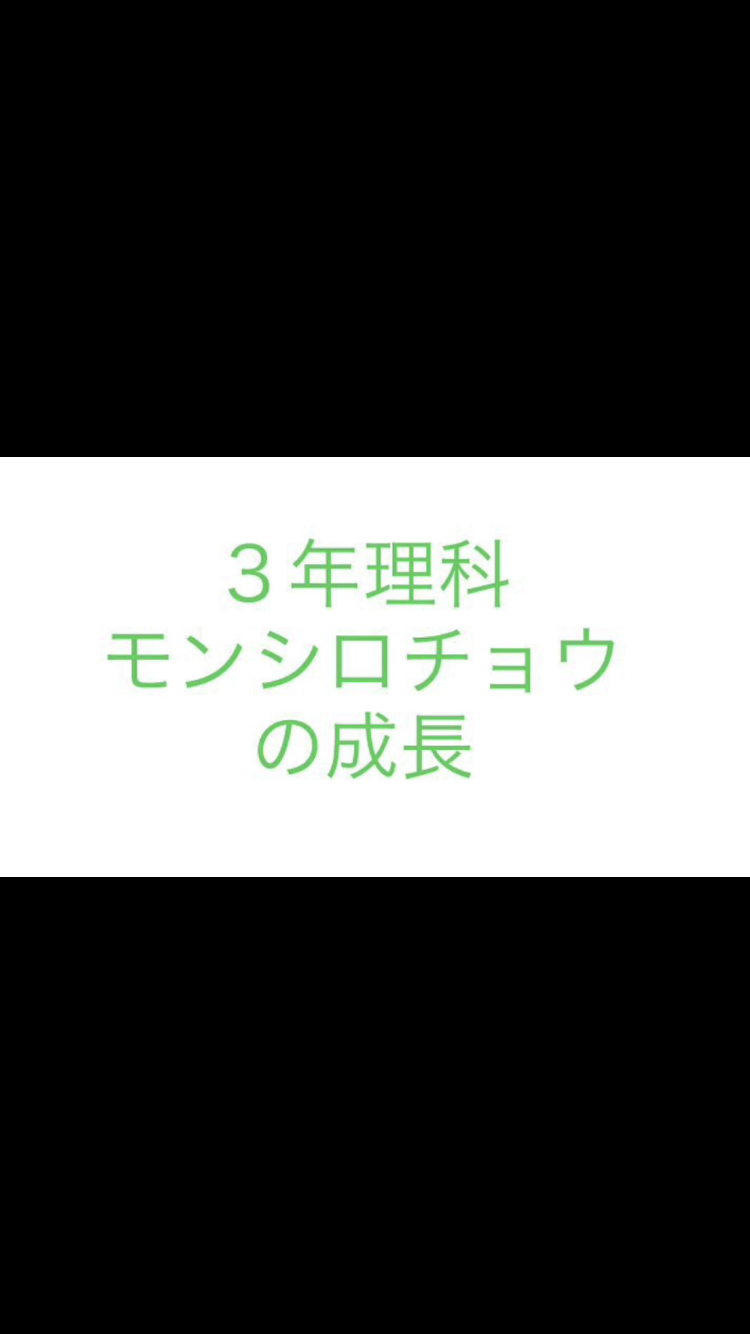 モンシロチョウの成長