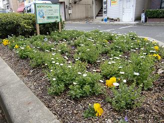 樟葉西校区コミュニティ協議会の活動後の町の一角