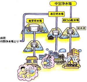 浄水場から蛇口に水が届くまでの図