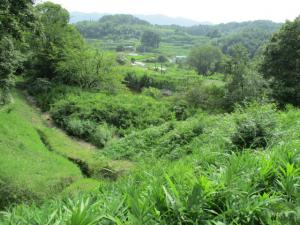 大壷池から望む尊延寺地区の風景