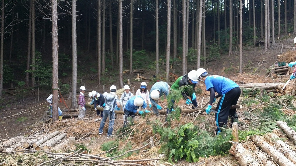 メタウォーター　里山保全作業その1