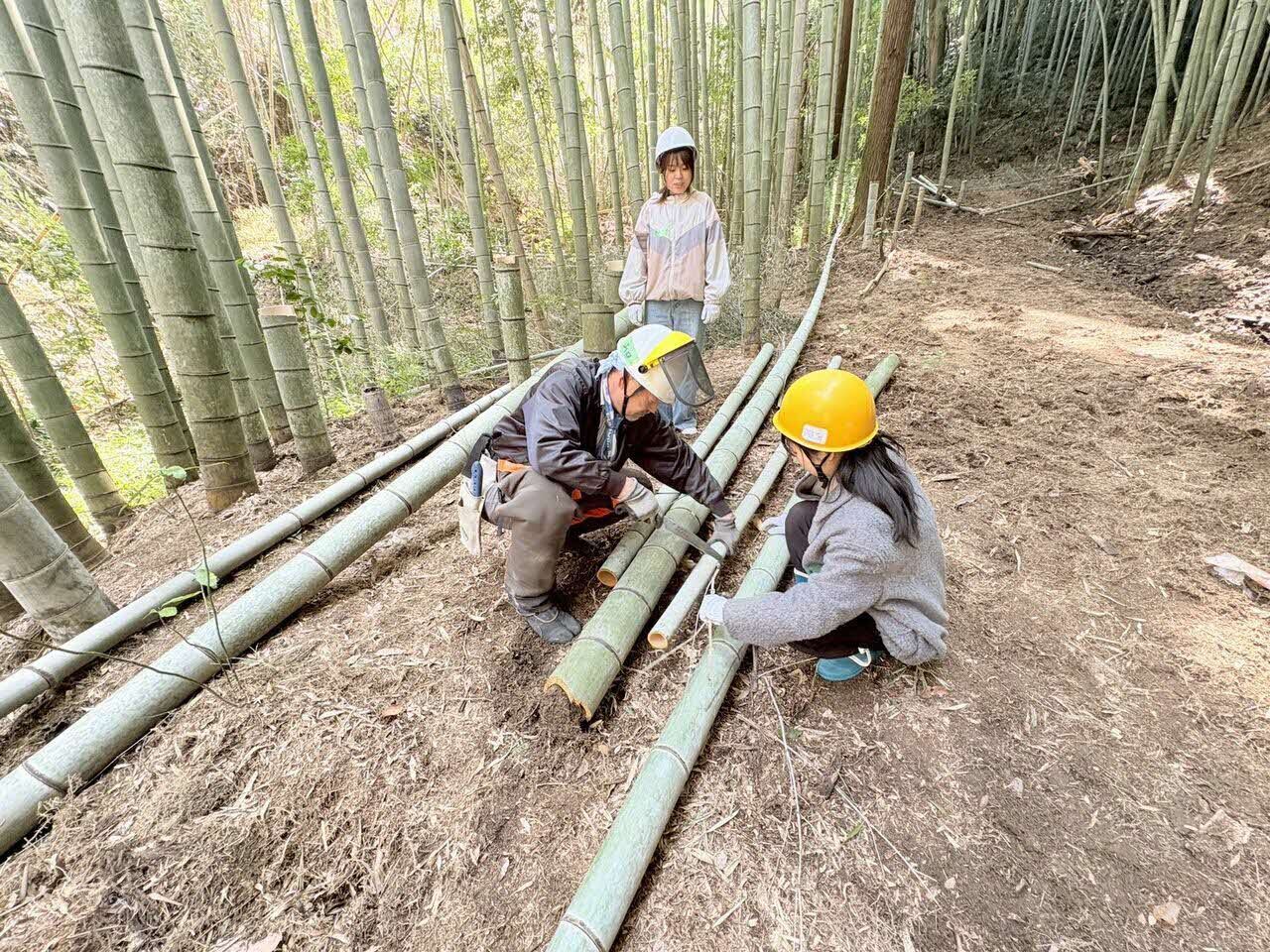 エコリレージャパンの里山保全活動 その2