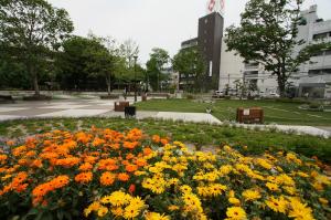 岡東中央公園の花壇