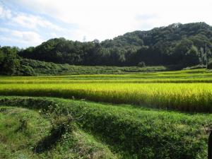 東部地域里山保全基金イメージ写真