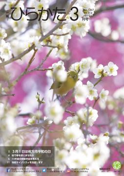 広報ひらかた平成31年3月号表紙