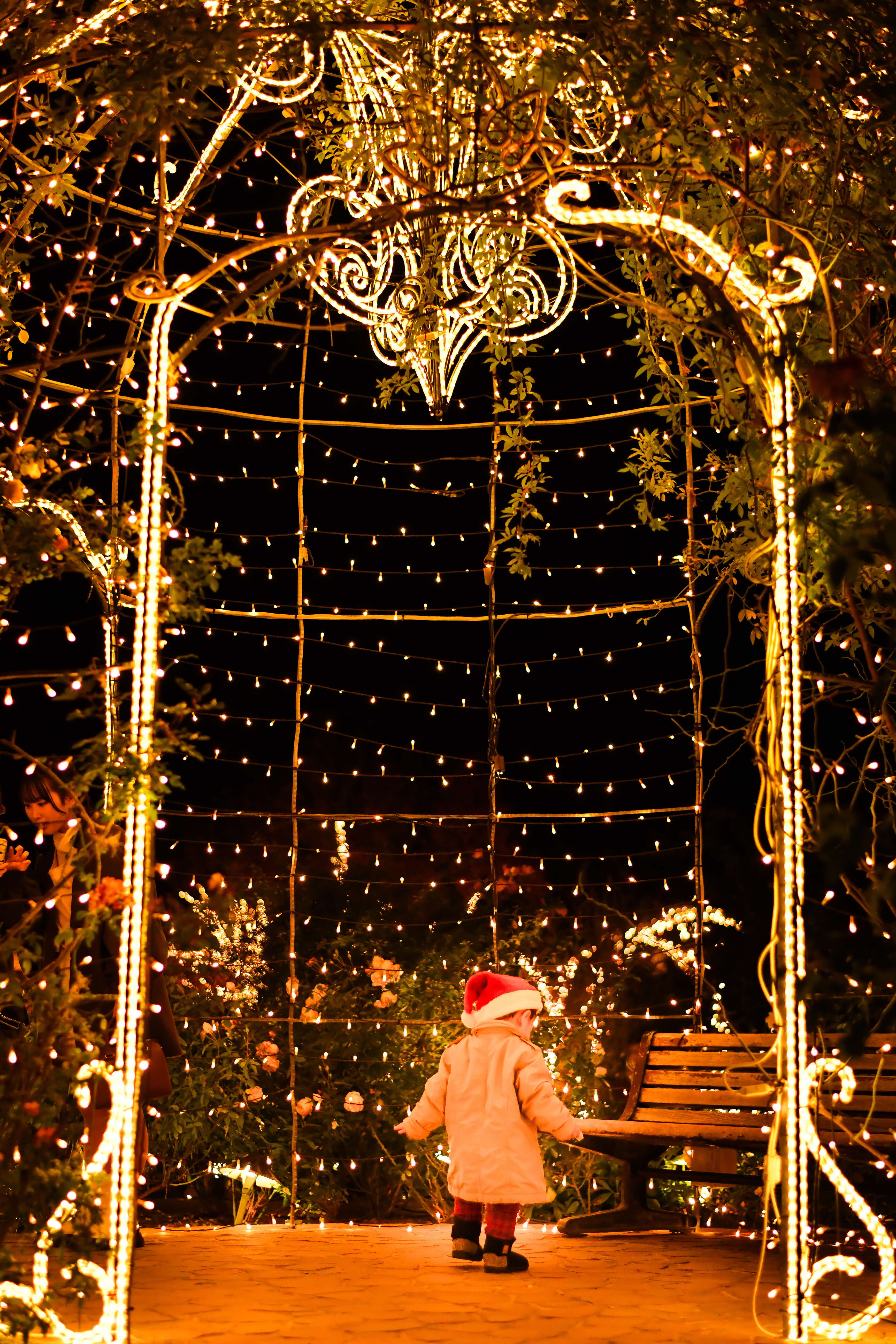 広報ひらかた令和7年12月号