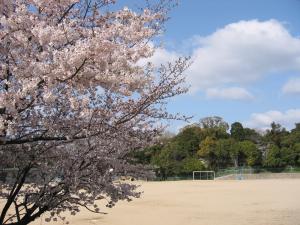 桜丘小学校