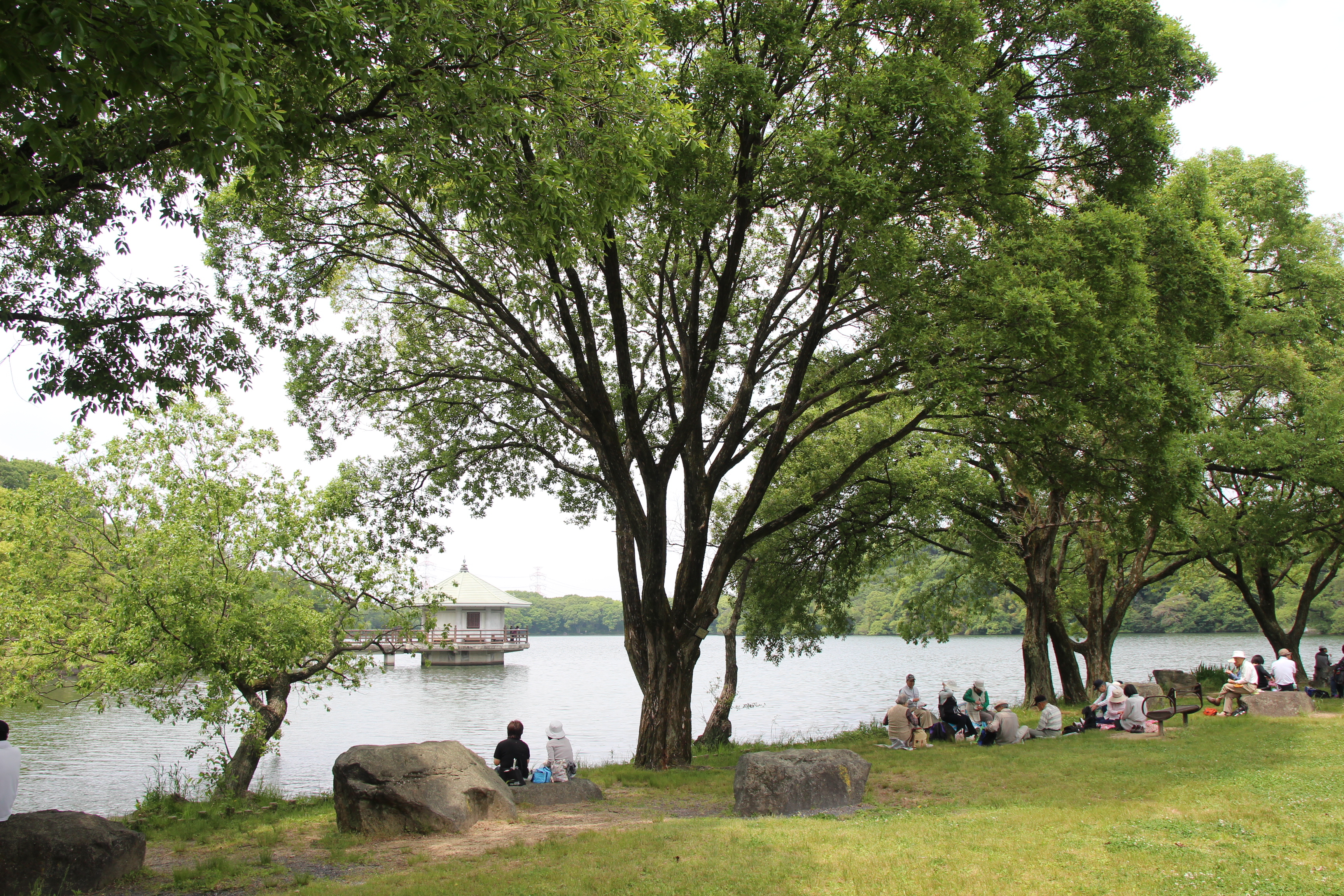 山田池公園