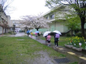 雨101