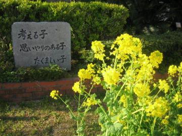 花51