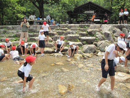 川遊びの様子です。