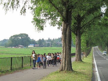 朝の散歩の様子です。