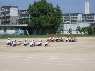 43体育201あ