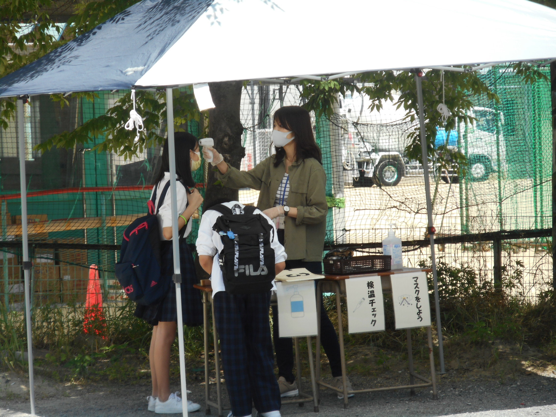 分散来校日