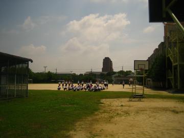 6体育161