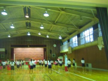 5体育251