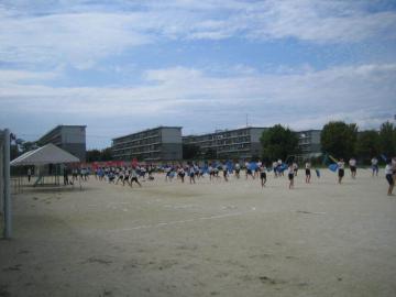 65体育231