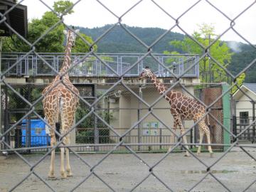 動物園7