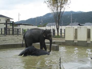 動物園8