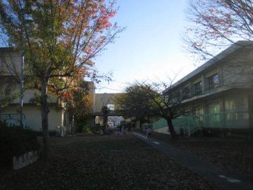 登校242