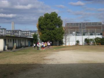 1体育11