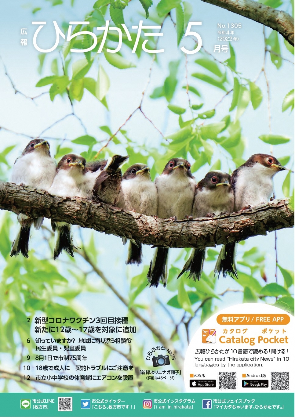 広報5月号の表紙