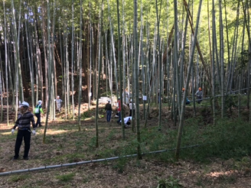 整備前の荒廃した竹林