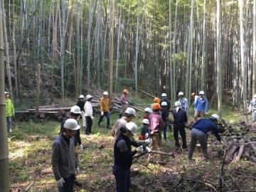 竹林の整備