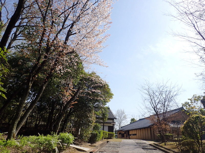 田中家鋳物民俗資料館(1)（2023年3月29日撮影） の画像