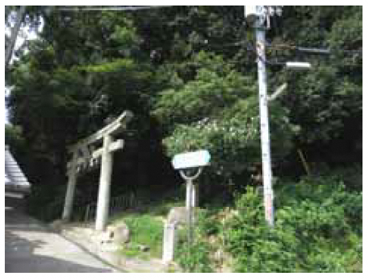 保存樹林の画像