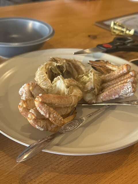 料理の写真