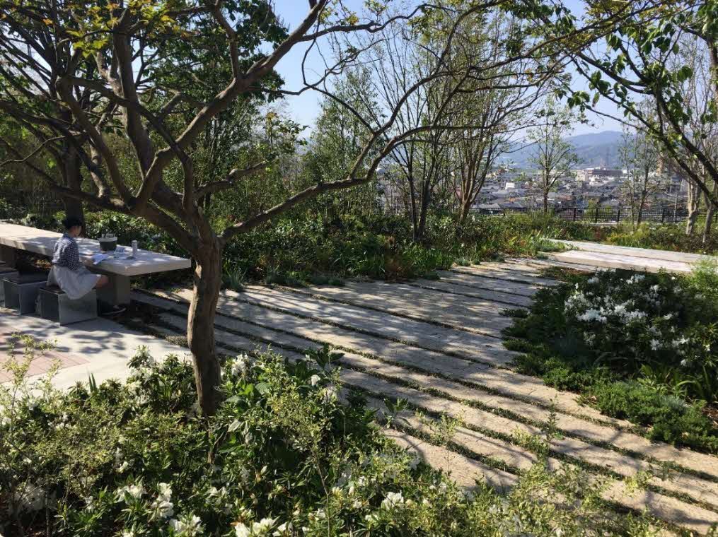 北西部の広場2