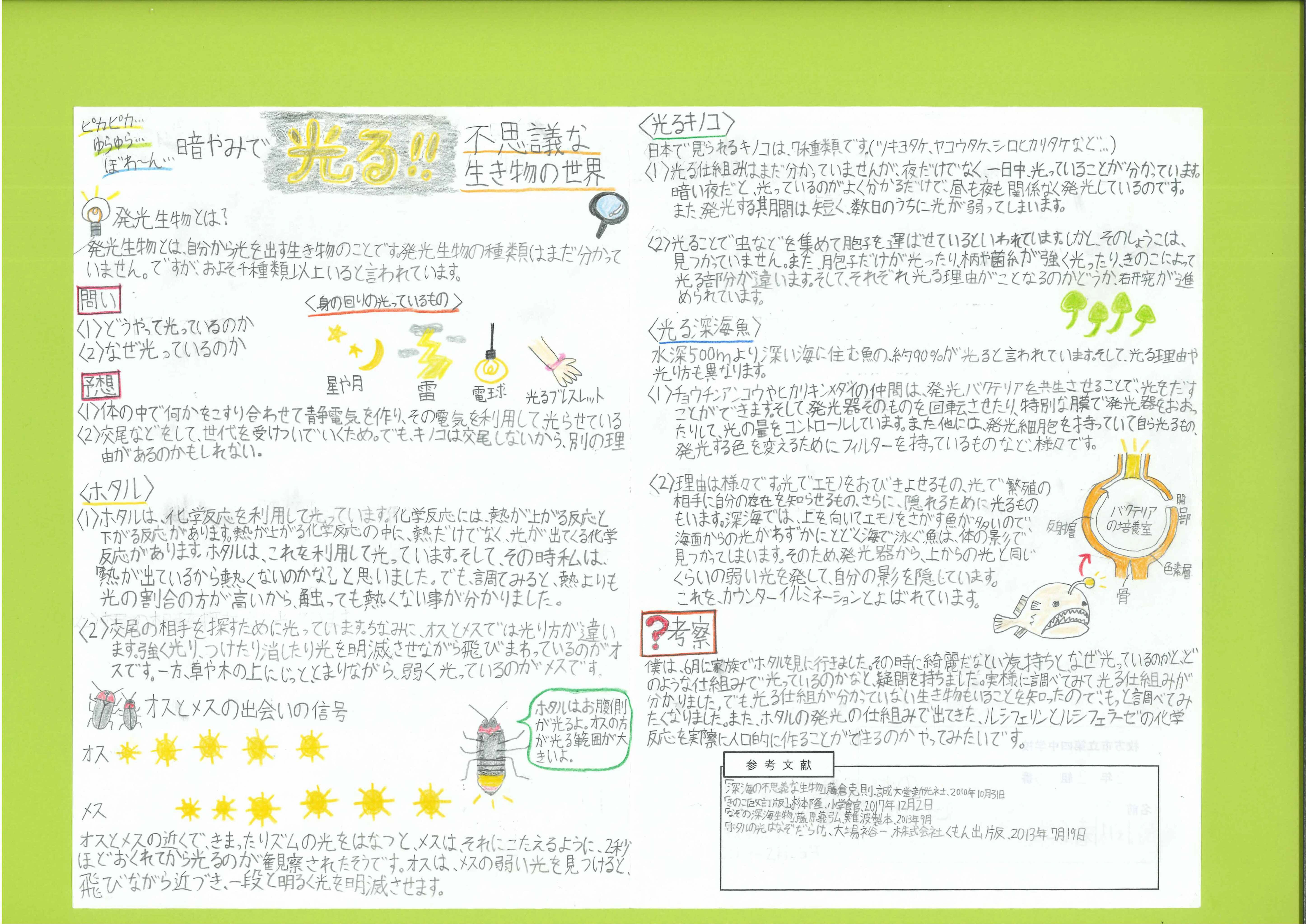 ピカピカ…ゆらゆら…ぼわ〜ん…暗やみで光る！！不思議な生き物の世界