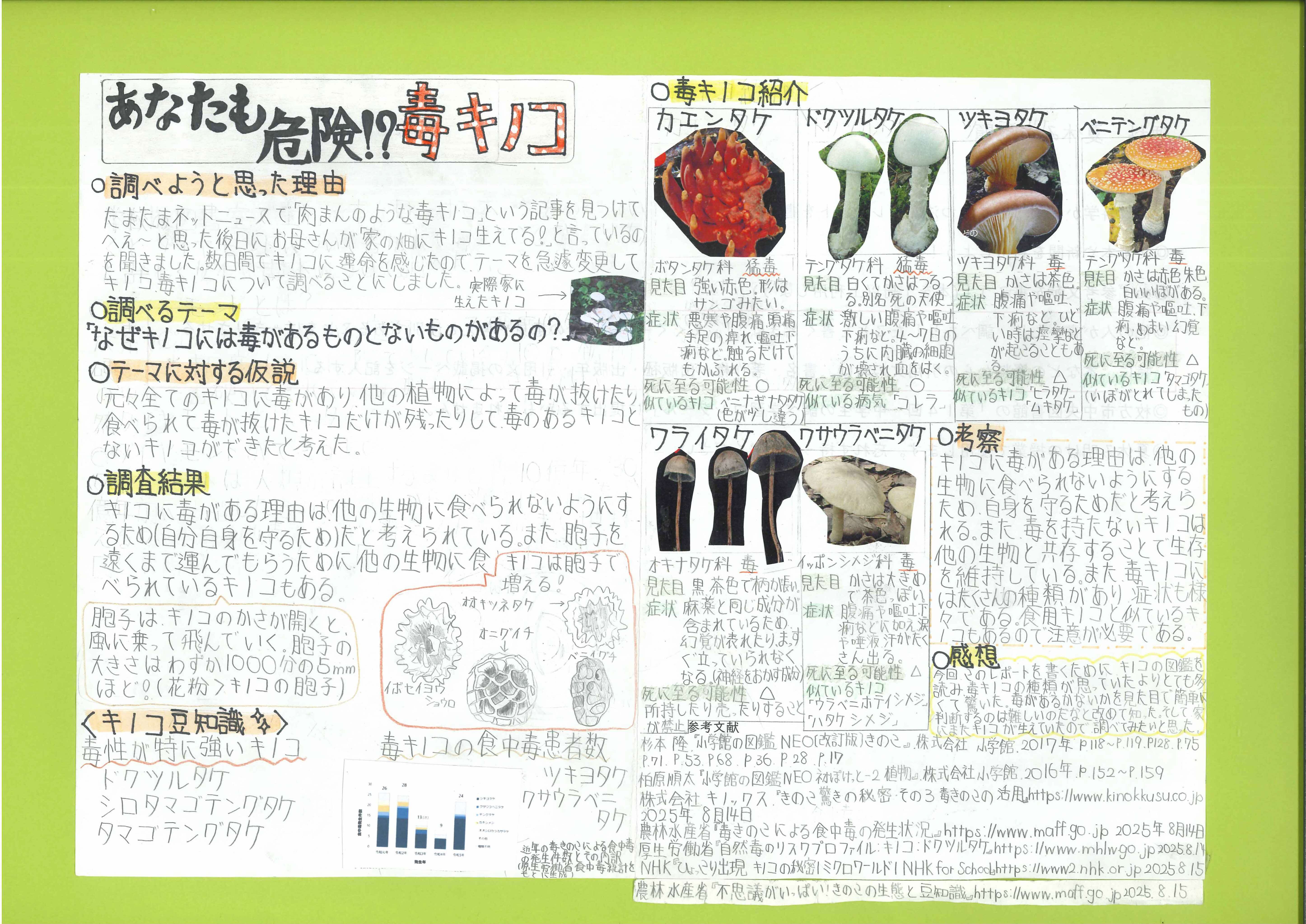 あなたも危険！？毒キノコ