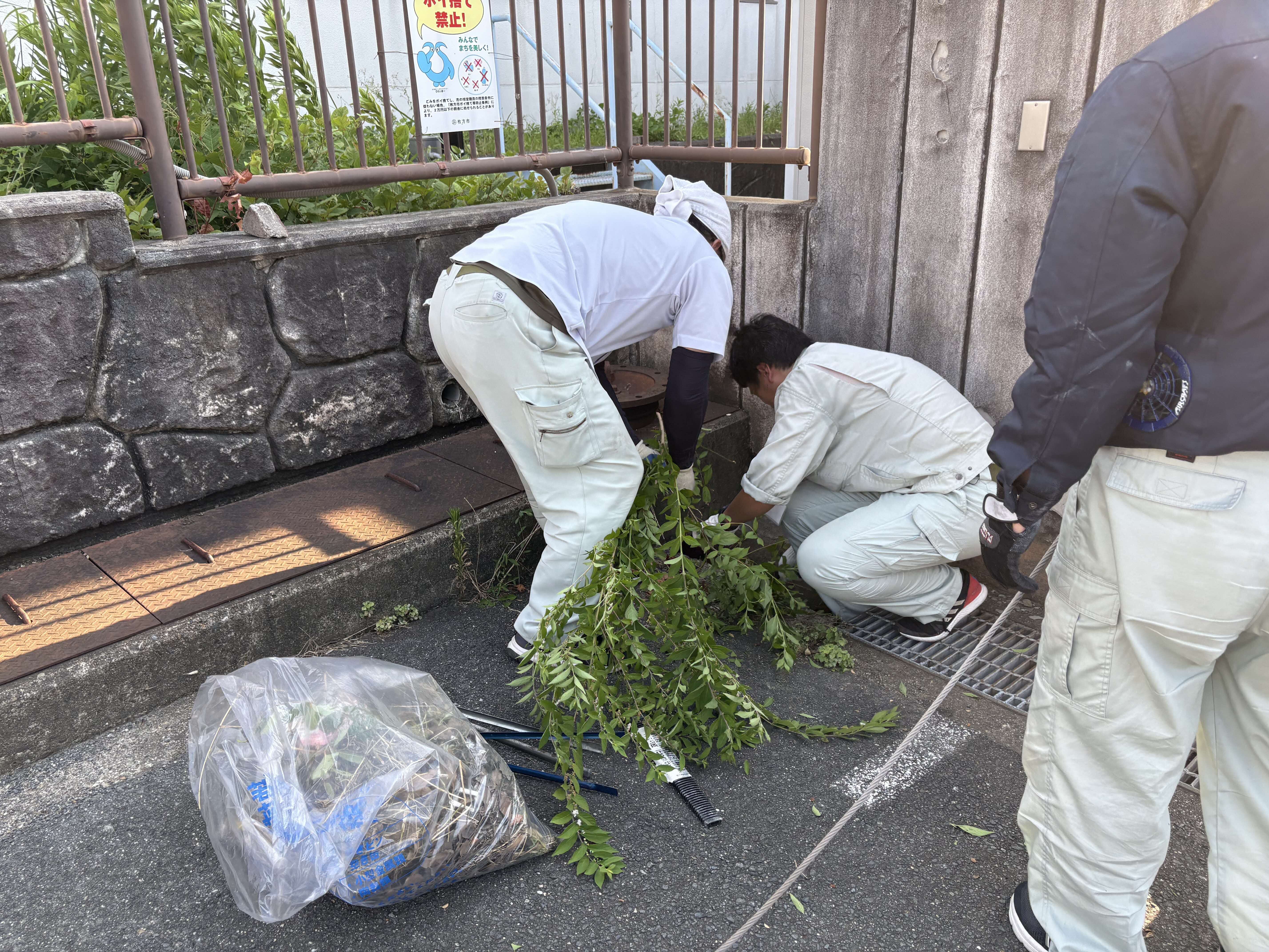草木を取り除く