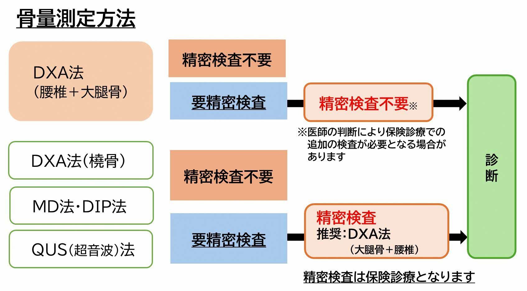 骨量測定ごとの精密検査の必要性を説明しています