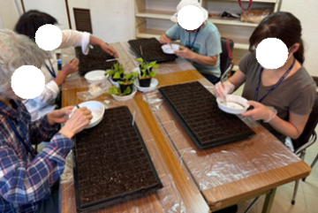 種まき作業イメージ