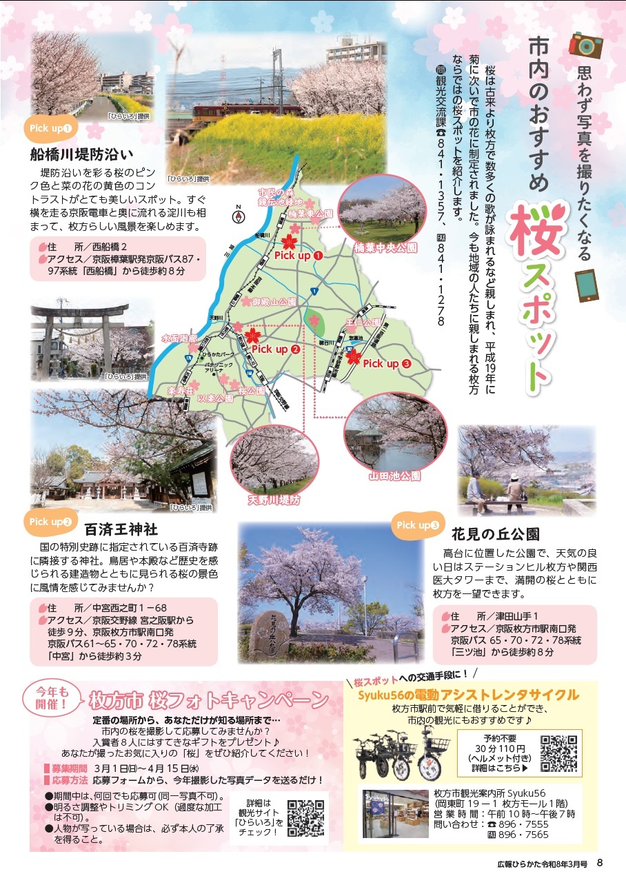 市内のおすすめ桜スポット