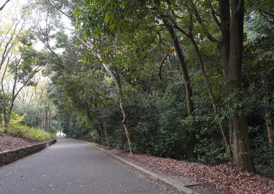 山田池公園