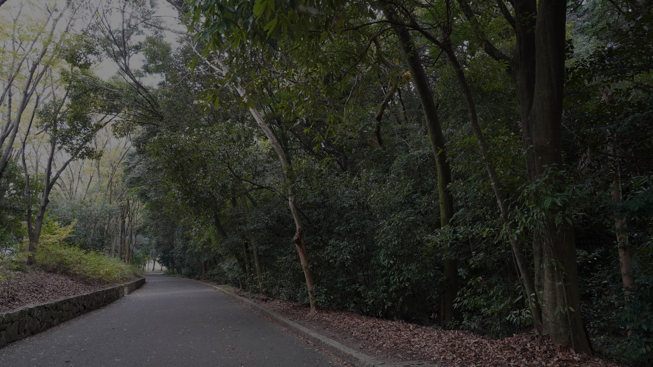 山田池公園