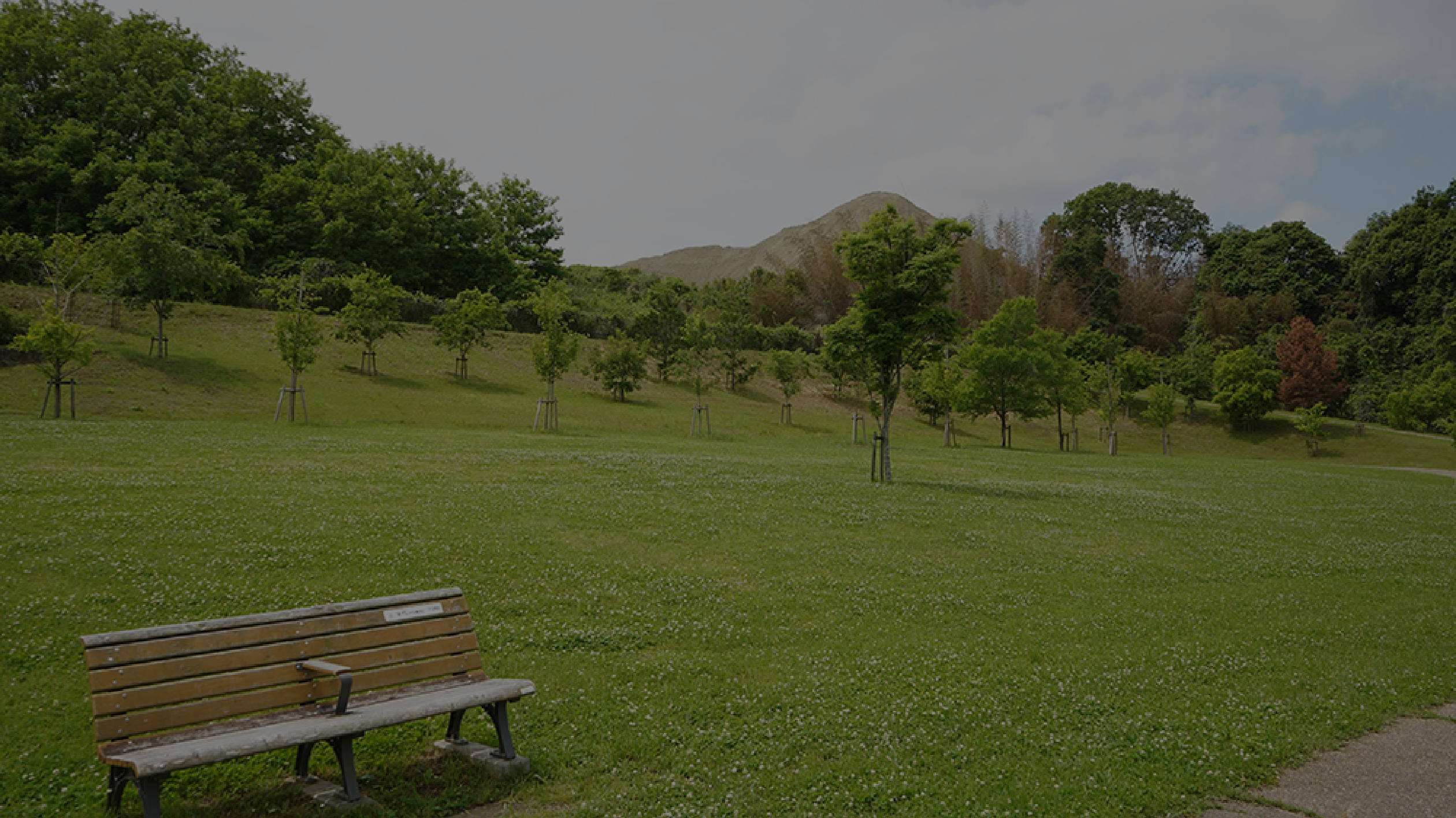 東部公園の鳥のさえずり