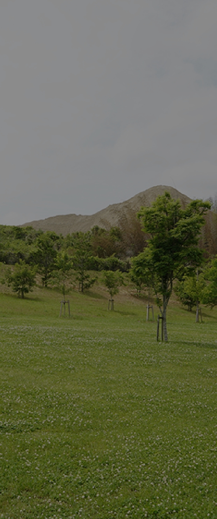 東部公園の鳥のさえずり